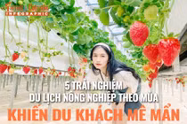 [INFOGRAPHIC] 5 trải nghiệm du lịch nông nghiệp khiến du khách mê mẩn