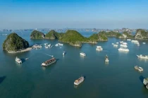 Du khách nước ngoài tử vong khi ăn trên tàu du lịch Hạ Long