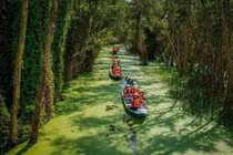 Làng nổi Tân Lập, chốn du xuân 'chữa lành' giữa rừng tràm miền Tây