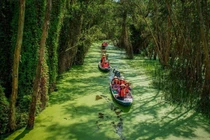 Làng nổi Tân Lập, chốn du xuân 'chữa lành' giữa rừng tràm miền Tây