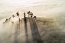 Từ đỉnh Đồi Thiên Phúc Đức, thung lũng dưới chân hiện ra như một bức tranh sương mù huyền ảo. Khi mặt trời lên cao, ánh sáng mạnh mẽ chiếu qua những tầng mây, tạo thành các cột sáng thẳng tắp rọi xuống mặt đất. Ảnh Trần Quang Anh