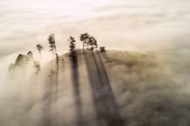 Từ đỉnh Đồi Thiên Phúc Đức, thung lũng dưới chân hiện ra như một bức tranh sương mù huyền ảo. Khi mặt trời lên cao, ánh sáng mạnh mẽ chiếu qua những tầng mây, tạo thành các cột sáng thẳng tắp rọi xuống mặt đất. Ảnh Trần Quang Anh