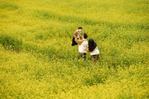 Cải vàng khoe sắc trên cao nguyên Mộc Châu khiến du khách đứng ngồi không yên