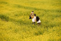 Cải vàng khoe sắc trên cao nguyên Mộc Châu khiến du khách đứng ngồi không yên