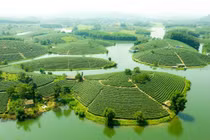 Miền Tây xứ Nghệ có một “ốc đảo xanh” khiến du khách ngẩn ngơ