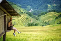 Khám phá những cánh đồng lúa chín đẹp như tranh cho kỳ nghỉ Quốc khánh 2/9