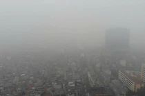 Ăn gì bổ phổi, giảm tác hại của ô nhiễm không khí?