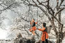 Với sự đa dạng khí hậu, cảnh quan và văn hóa, Việt Nam luôn chào đón du khách quanh năm. Chọn đúng thời điểm giúp chuyến đi thêm trọn vẹn, từ biển xanh, núi cao đến những lễ hội đậm bản sắc địa phương. Ảnh MIA