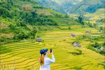 Ngắm mùa vàng trên ruộng bậc thang Nậm Cang, chọn tour hay đi tự túc?