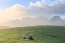 Check-in Đồi Sim Suối Bon, săn mây ngắm hoa tím tuyệt đẹp