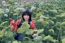 Ghé thăm cánh đồng cà rốt nở hoa giữa cao nguyên Lâm Đồng