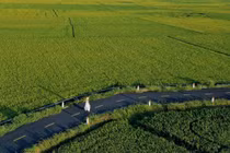 Cánh đồng lúa An Nhứt góc sống ảo đẹp không cần filter hút giới trẻ