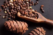 Lợi ích bất ngờ của hạt thông đối với sức khỏe