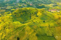 Ngắm dã quỳ nở rộ trên núi lửa Chư Đăng Ya, thiên đường mùa khô Gia Lai