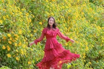 Săn mùa dã quỳ Chư Đăng Ya hành trình ngắm sắc vàng giữa cao nguyên Gia Lai