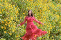 Săn mùa dã quỳ Chư Đăng Ya hành trình ngắm sắc vàng giữa cao nguyên Gia Lai