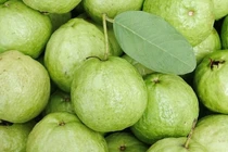 Cách đơn giản chọn ổi giòn tươi, ngon ngọt 