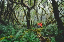 Sa Mu viên ngọc hoang sơ Tây Bắc thu hút du khách khám phá thiên nhiên