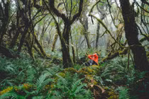 Sa Mu viên ngọc hoang sơ Tây Bắc thu hút du khách khám phá thiên nhiên