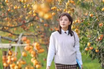 Mộc Châu nhuộm sắc cam mùa hồng chín, chọn tour nào để trải nghiệm trọn vẹn?