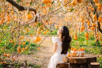 'Bỏ túi' kinh nghiệm đi Mộc Châu mùa thu dành cho ‘dân mê xê dịch’
