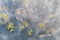 Suối Tía điểm dã ngoại hoang sơ khiến du khách mê mẩn