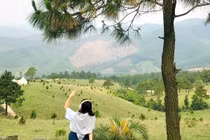 Vi vu đỉnh Phượng Hoàng, đắm mình giữa mây núi xanh