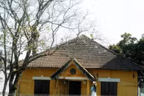 Ban trắng nở khắp Đà Lạt, hút khách du xuân