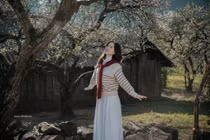 4 tọa độ ngắm hoa mận ở Mộc Châu, chỉ cần giơ máy là có ảnh đẹp