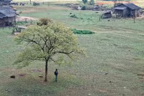 Bản Tà Phình Mộc Châu có gì hấp dẫn mà ai cũng muốn một lần ghé thăm?