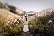 Mùa cỏ lau Bình Liêu 'gõ cửa' khiến dân mê chụp ảnh 'đứng ngồi không yên'