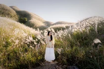 Mùa cỏ lau Bình Liêu 'gõ cửa' khiến dân mê chụp ảnh 'đứng ngồi không yên'