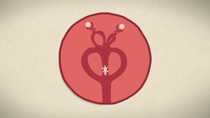 Nhờ bản năng sẵn có, tuy chưa có mắt nhưng phần lớn đều có thể tự tìm đường đi – chỉ một số ít kangaroo con phải nhờ tới sự giúp đỡ của mẹ.