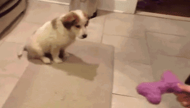 Thế là em lại bắt trượt rồi.