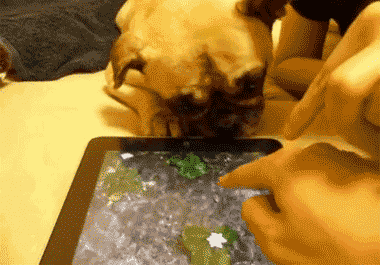 Các chị lại trêu em nữa rồi!