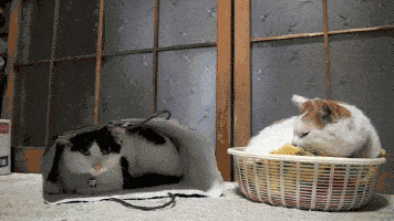 Dậy thôi, đừng ngủ nữa.