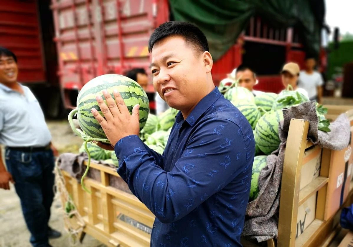 "Nội soi" dưa hấu, "gõ gõ vài cái" kiếm ngay 35 triệu đồng