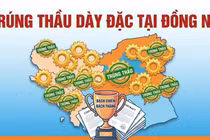 "Hệ sinh thái" nhà thầu Thành Kiên: Trúng thầu dày đặc, "bách chiến bách thắng" tại Đồng Nai [Kỳ 2]