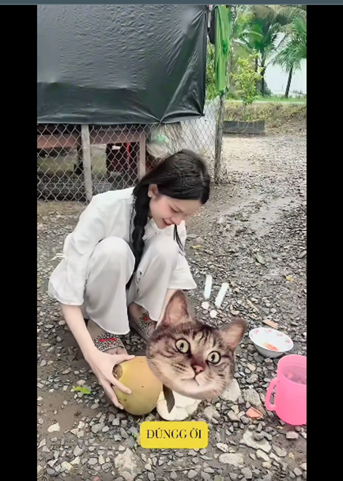 Tâm Như có cuộc sống bình yên ở quê nhà. Ảnh: FB Hà Tâm Như.