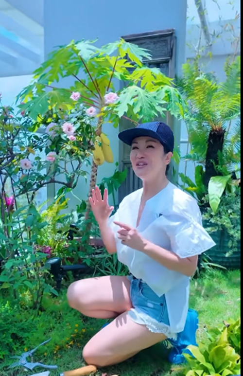 Kinh nghiệm chuyển nhà vài lần giúp Hồng Nhung có được vài bí quyết chăm sóc cây xanh. Trong một clip, nữ ca sĩ tiết lộ, cô dùng trứng để bón cho cây hoa hồng. Ảnh: FB Hồng Nhung.