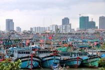 Hàng nghìn tàu cá ở Đà Nẵng vào neo đậu an toàn trước bão số 12