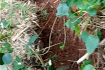 Phát hiện vết nứt dài hơn 60m gần Quốc lộ 7 ở Nghệ An