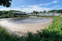  Phạt hơn 1 tỷ đồng trang trại lợn ở Thanh Hóa gây ô nhiễm khu dân cư 