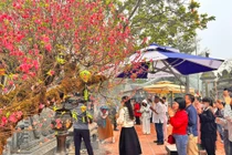 Lễ hội đầu xuân tại Đền Chợ Củi Hà Tĩnh thu hút hàng vạn du khách