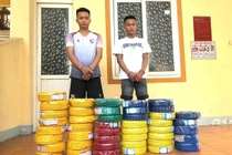 Bắt 2 anh em ruột đột nhập công ty ở Nghệ An cuỗm 44 cuộn dây điện