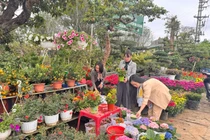 Rực rỡ làng hoa Nghi Ân ươm sắc xuân cho ngày Tết