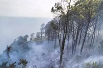 Kịp thời khống chế cháy rừng trên núi Rồng ở Nghệ An