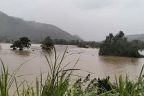 Thanh Hóa, Nghệ An, Hà Tĩnh đảm bảo an toàn đê điều ứng phó với lũ