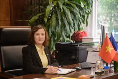 GS.TS Đinh Thị Mai Thanh: 'Khi làm khoa học bằng đam mê, mọi kết quả đều có giá trị'