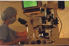 PGS.TS.BS Vương Thị Ngọc Lan, người đưa IVF Việt Nam lên bản đồ thế giới